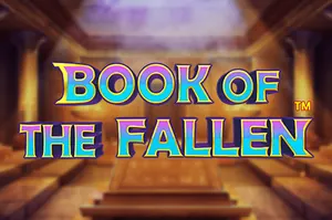 Book of Fallen Spielcover